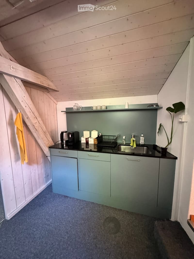 Compact kitchen with light blue cabinets, black countertop, sink, coffee maker, and small plant on the counter.