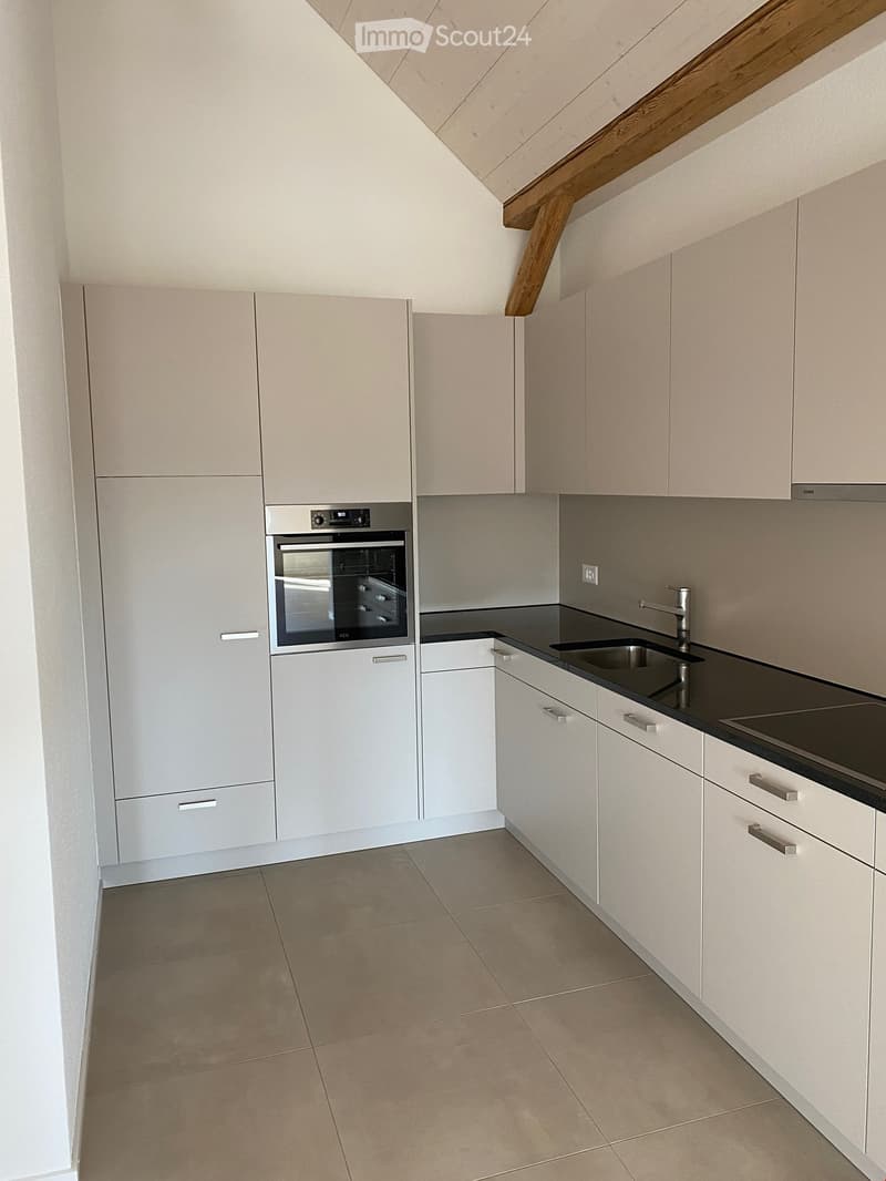 Offene Küche (Glaskeramik, Backofen, Kühlschrank)