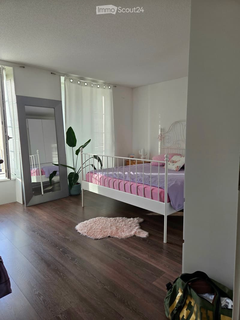 Cozy bedroom with wooden flooring, white metal bed frame, pink bedding, nightstand, large mirror, potted plant, and a fluffy pink rug.