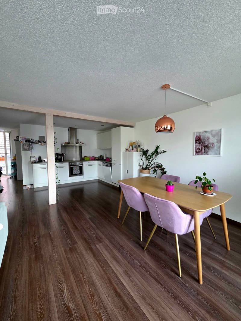Dining area with a wooden table, four pink chairs, and small potted plants. Open kitchen area with white cabinets, stainless steel appliances, and a hanging copper pendant light.