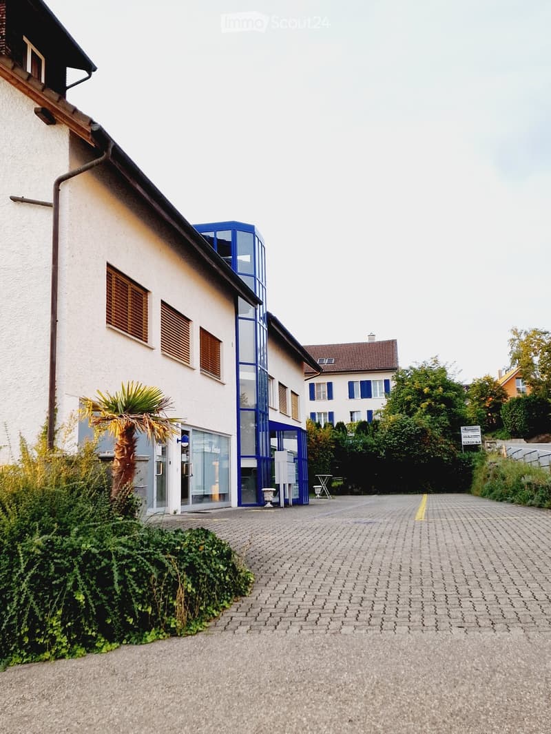 Modern building with white walls, blue accents, and a glass entrance. The surrounding area includes a paved driveway, greenery, and a small palm tree.