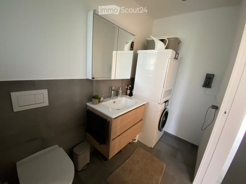 Modern bathroom with a sink, mirror, wooden cabinet, washing machine, toilet, and a small plant on the sink counter.