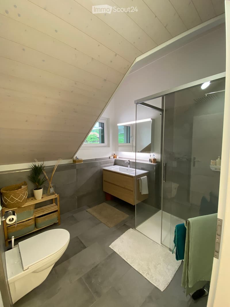 Modern bathroom with a sloped wooden ceiling, grey tiled walls, a white toilet, a wooden vanity with a sink and mirror, a glass-enclosed shower, and a small shelf with baskets and a plant.