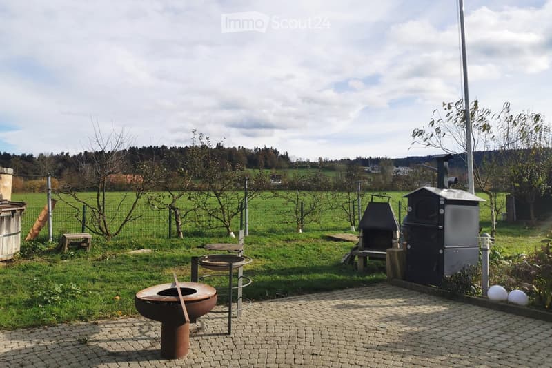 Outdoor area with a barbecue, fire pit, and a small shed, surrounded by a grassy field and trees.
