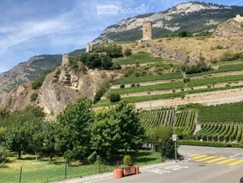 Scenic outdoor area with vineyards, a stone tower on a hill, and a road leading up to it.