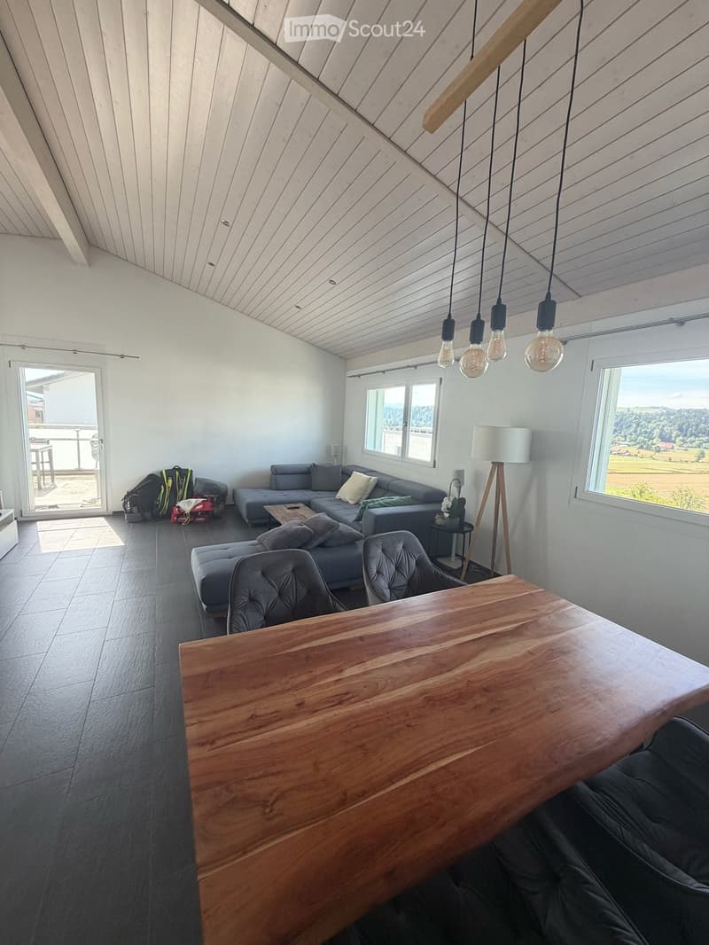 Traumhafte Dachwohnung mit Charme und Riesenbalkon – hell und ruhig (4)