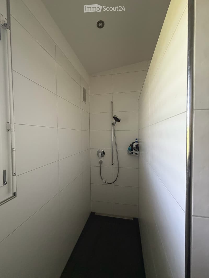 Traumhafte Dachwohnung mit Charme und Riesenbalkon – hell und ruhig (11)