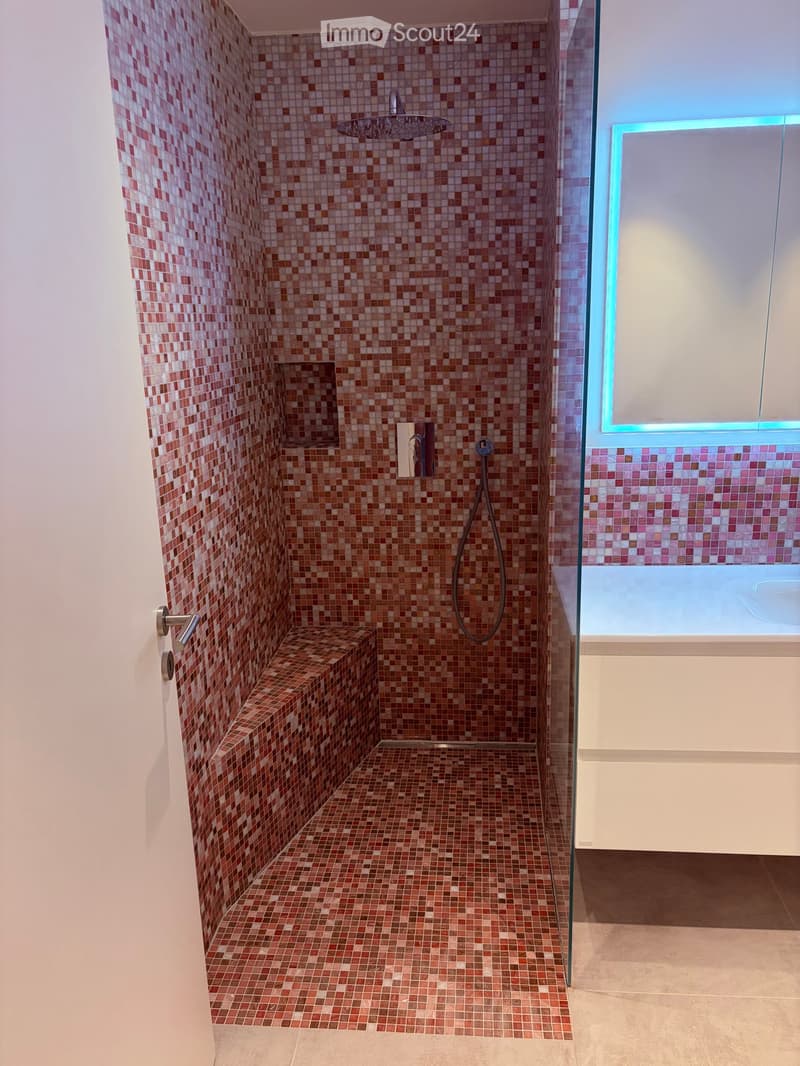 Modern bathroom with a tiled shower area and a separate bathtub. The shower features a handheld sprayer and a built-in seat, with mosaic tiles in warm tones.