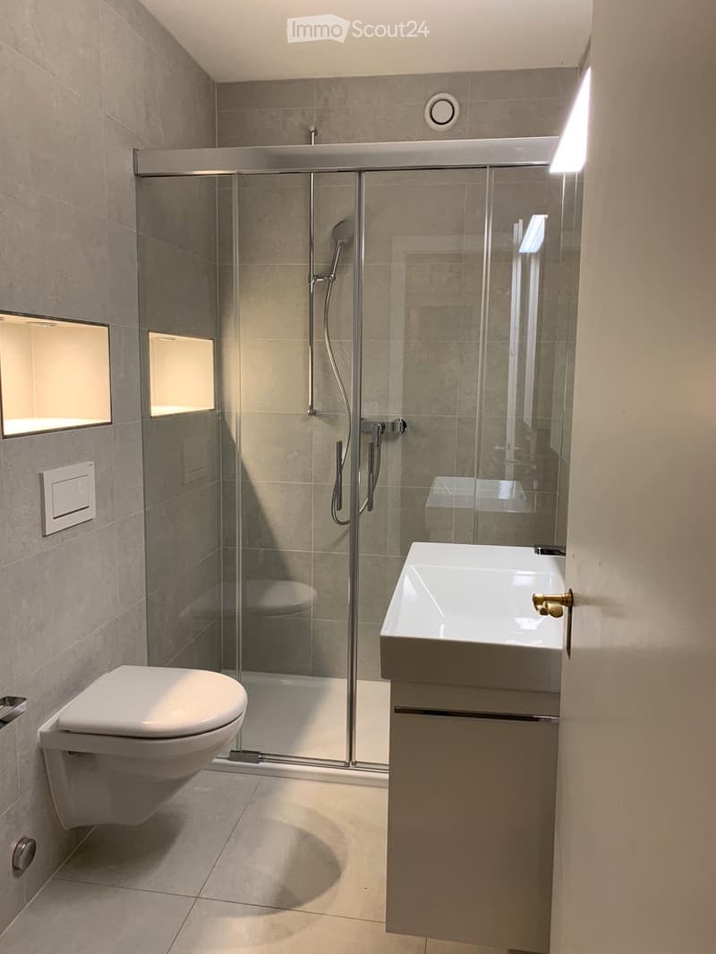 Modern bathroom with a glass-enclosed shower, toilet, sink, and built-in storage cabinet.