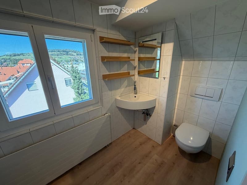 Modern bathroom with a sink, toilet, mirror, and wooden shelves. Large window offers a scenic view.