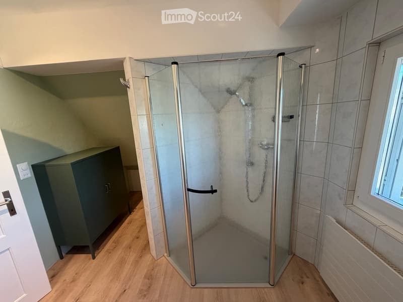 Modern bathroom with a glass-enclosed shower stall, wooden flooring, and a dark green cabinet.