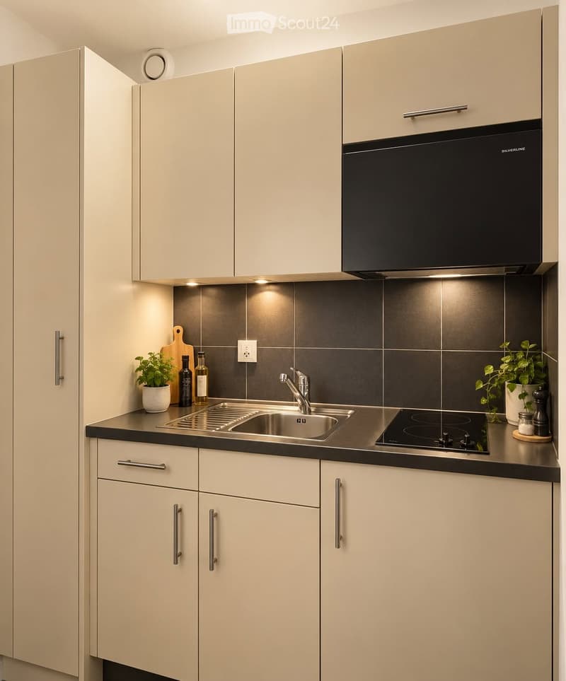Modern kitchen with light-colored cabinets, stainless steel sink, induction cooktop, and small potted plants on the counter.