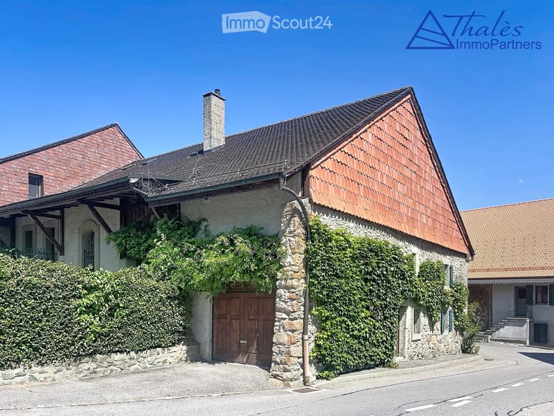 Traditional two-story house with a stone facade, wooden garage door, and ivy-covered walls. The roof is covered with red tiles, and there is a chimney on the left side.