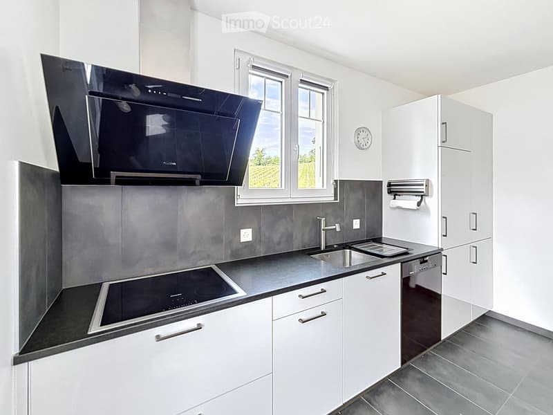 Modern kitchen with white cabinets, stainless steel appliances, induction stove, microwave, and a sink with a faucet.