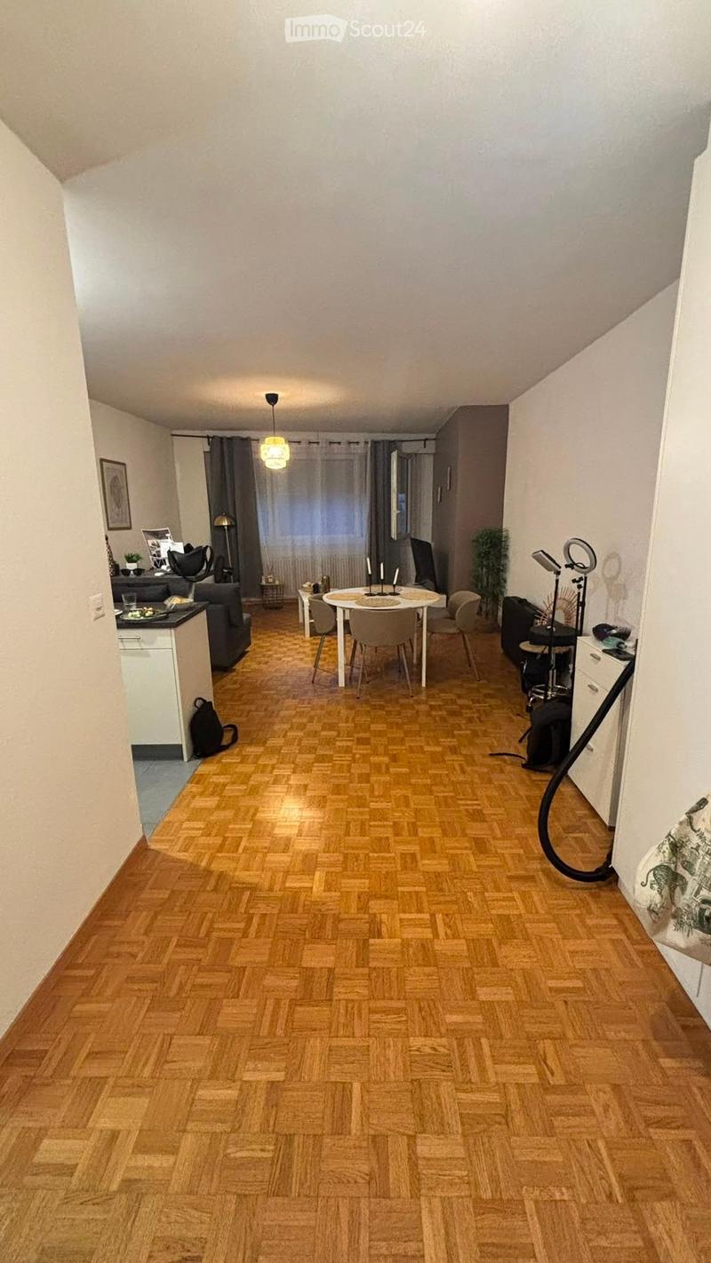 A spacious, well-lit living and dining area with wooden herringbone flooring, a grey sofa, a dining table with chairs, a small kitchen counter, and various decorative items including a lamp, plant, and mirror.