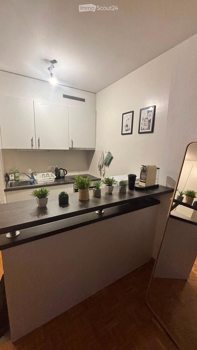 Modern kitchen with white cabinets, black countertop, sink, coffee maker, potted plants, and framed pictures on the wall.