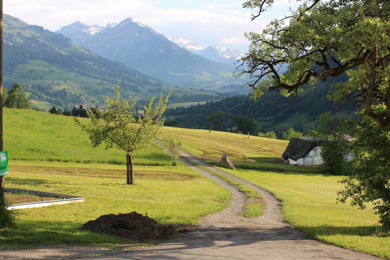 A scenic rural landscape with green fields, a gravel path, trees, and distant snow-capped mountains.