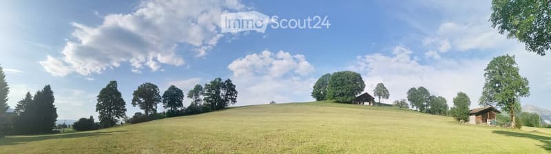 A wide, grassy field with scattered trees and a small wooden structure in the distance, under a partly cloudy sky.