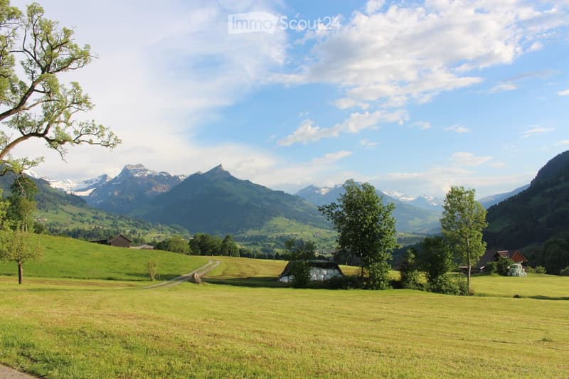 A lush green meadow with scattered trees, a winding path, and distant snow-capped mountains under a partly cloudy sky.