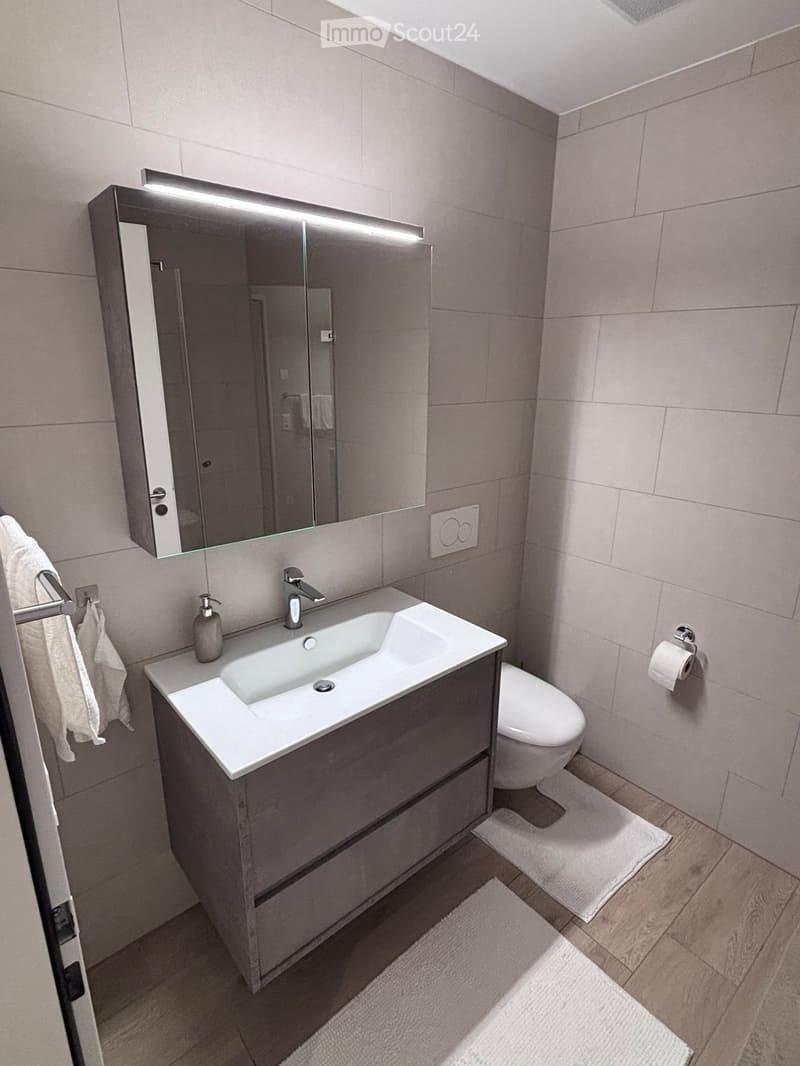 Modern bathroom with a white sink, dark wooden cabinet, large mirror with built-in lighting, toilet, and towels on the floor.