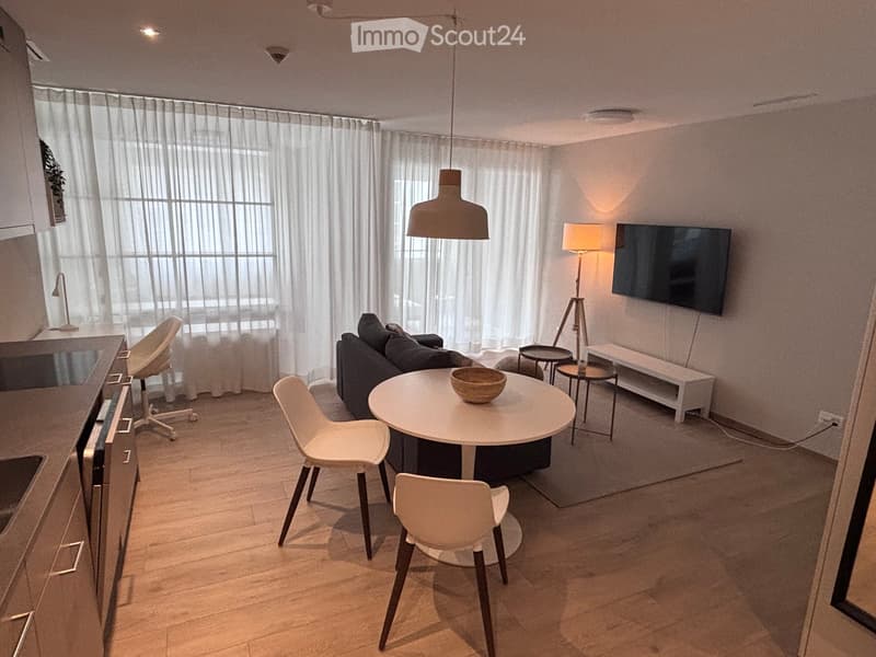Modern living room with a sofa, round table, chairs, a hanging lamp, a floor lamp, a TV screen, and a small stool.