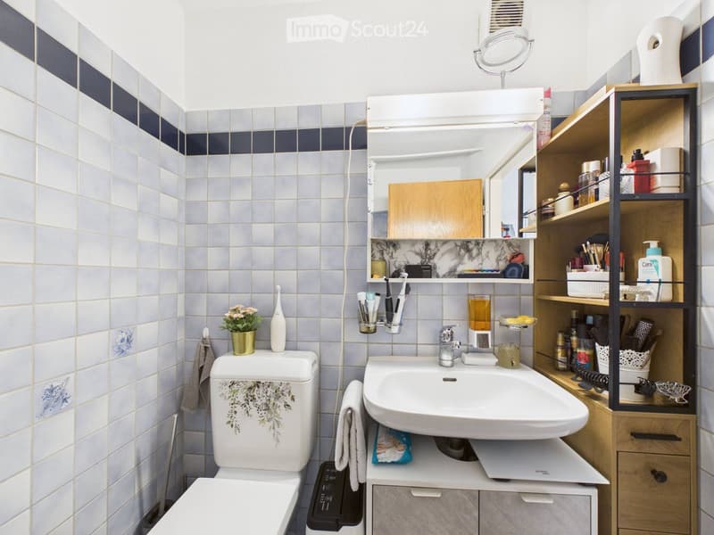 Modern bathroom with white tiles, a toilet, a sink, a mirror, a wooden shelf, and a small flower pot on the toilet tank.