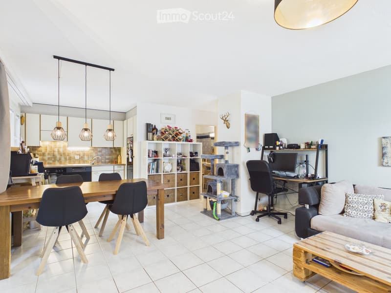 Open-plan living and dining area with a sofa, coffee table, dining table with chairs, cat tree, office chair with computer, bookshelf, and kitchen area with cabinets and pendant lights.