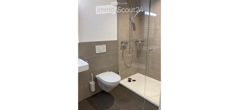 Modern bathroom with a glass-enclosed shower, toilet, and a toilet paper holder. The walls are tiled in a neutral color scheme, and the floor is dark tiled.