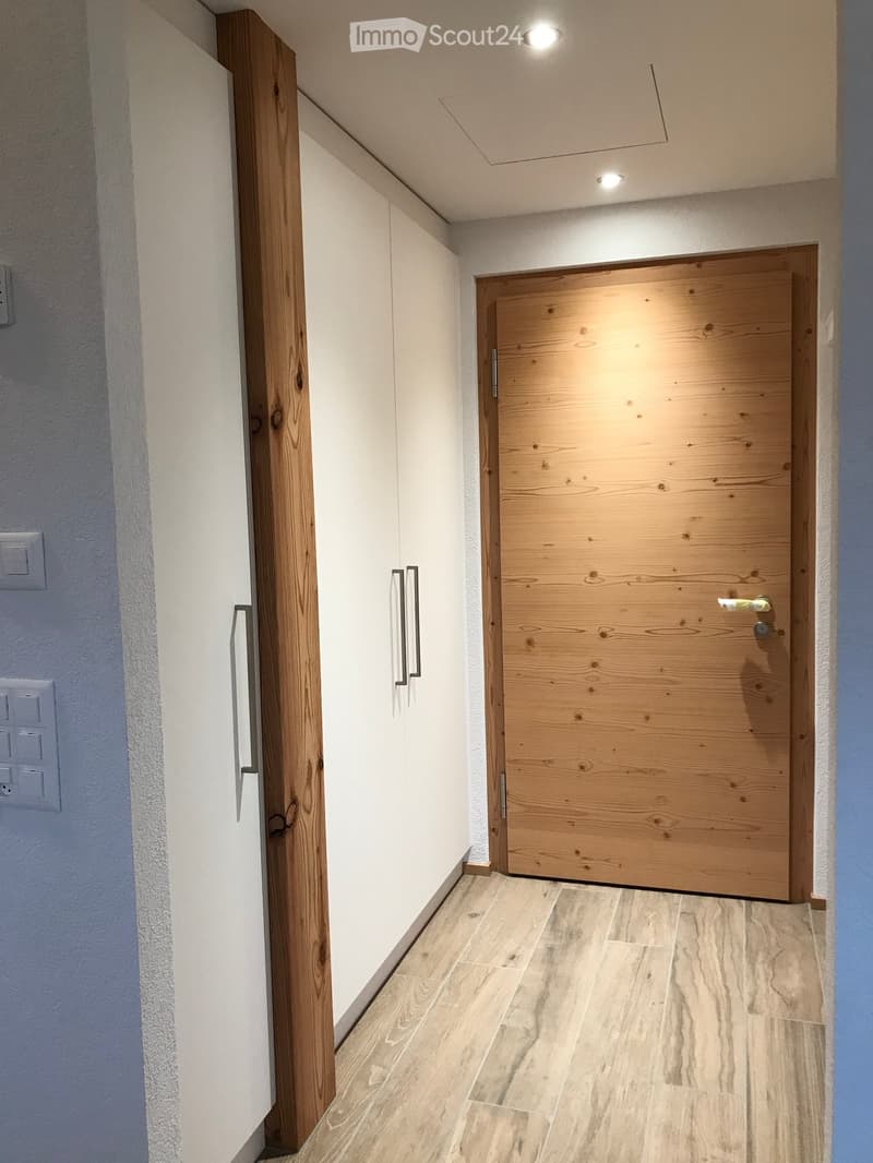 Modern hallway with light wooden flooring, white walls, and recessed ceiling lighting. Features a wooden door with a silver handle and a wall-mounted electrical outlet.