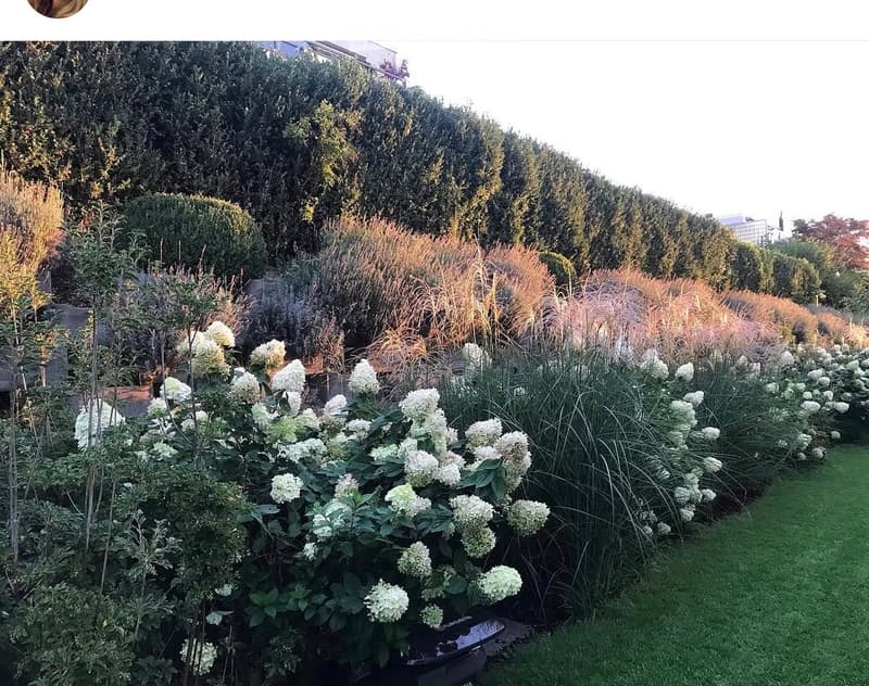 Well-maintained garden with neatly trimmed hedges, flowering shrubs, and tall ornamental grasses, creating a serene and elegant outdoor space.