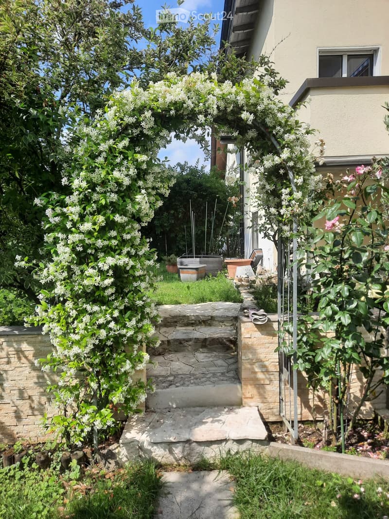 Garden with stone steps, climbing white flowers, potted plants, and a small grassy area.