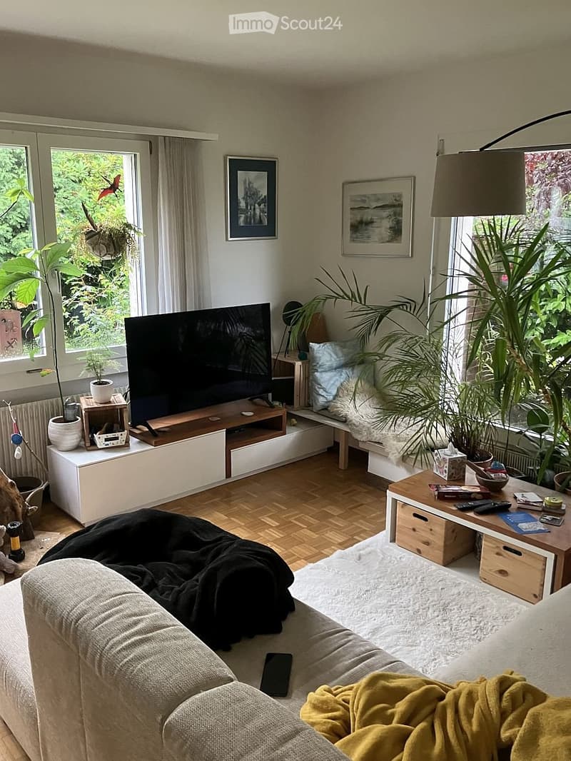 Bright living room with large windows, a grey sofa, a coffee table, a television, and several potted plants. The room features a wooden floor and a cozy atmosphere with blankets on the sofa.