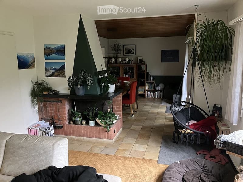 Living room with a fireplace, sofa, wicker hanging chair, coffee table, bookshelf, and potted plants.