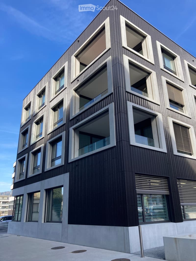 Modern multi-story building with dark wood paneling and large windows, featuring balconies and a sleek contemporary design.
