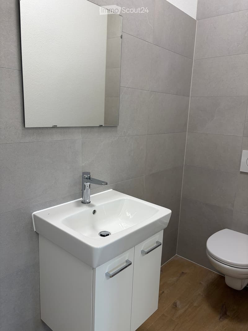 Modern bathroom with a white sink, chrome faucet, mirrored cabinet, and a toilet. Grey tiled walls and wooden flooring.