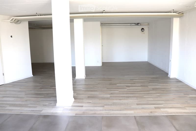 wide open space, wooden flooring, white walls, two doors, columns
