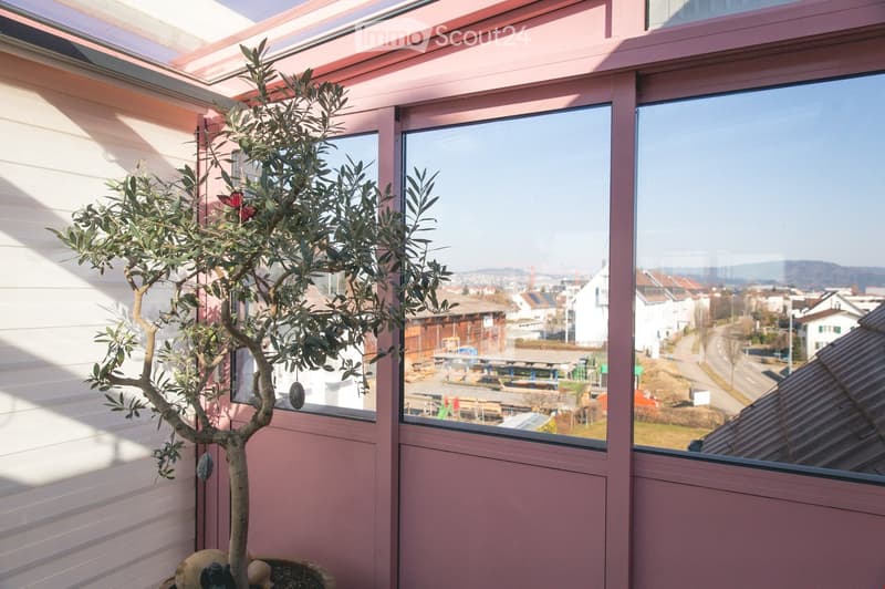 A small potted tree with green leaves is placed near a window with pink frames, overlooking a suburban area with houses and a clear sky.