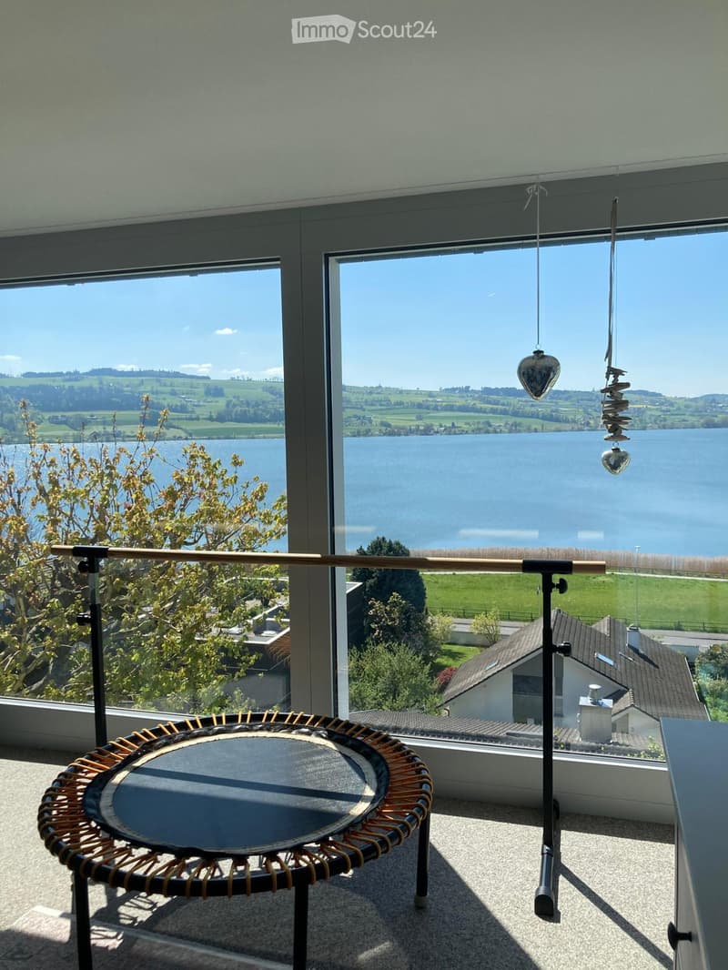 Balcony with a trampoline, large windows offering a scenic view of a lake and surrounding landscape.