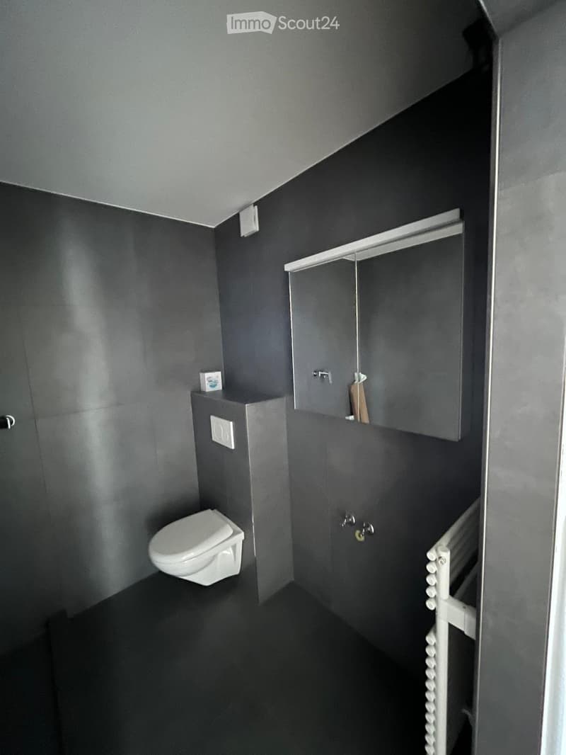 Modern bathroom with dark grey walls, black floor, white toilet, and a white radiator.
