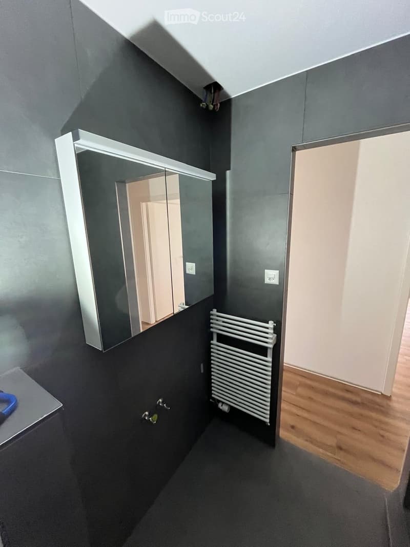 Empty room with dark grey walls, a white radiator, a large mirror cabinet, and a wooden floor visible in the adjacent area.