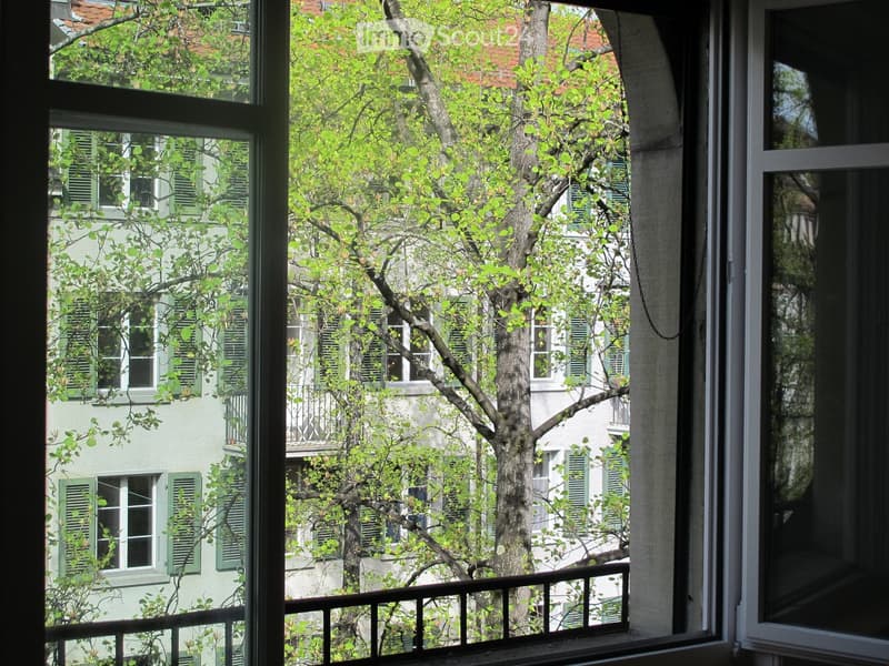 View from a balcony showing a tree and neighboring buildings with green shutters.