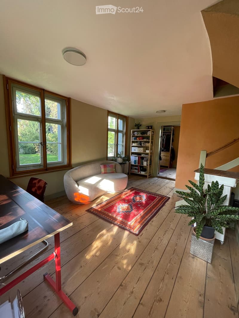 Bright living room with wooden flooring, large windows, a curved sofa, a coffee table, a colorful rug, and a potted plant near the staircase.
