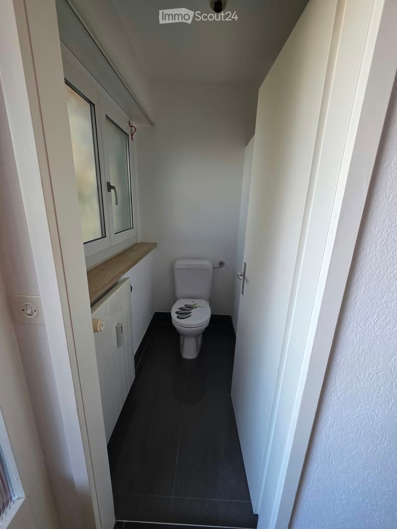 Small bathroom with white walls, dark tiled floor, toilet, white cabinet with mirror, and wooden shelf.
