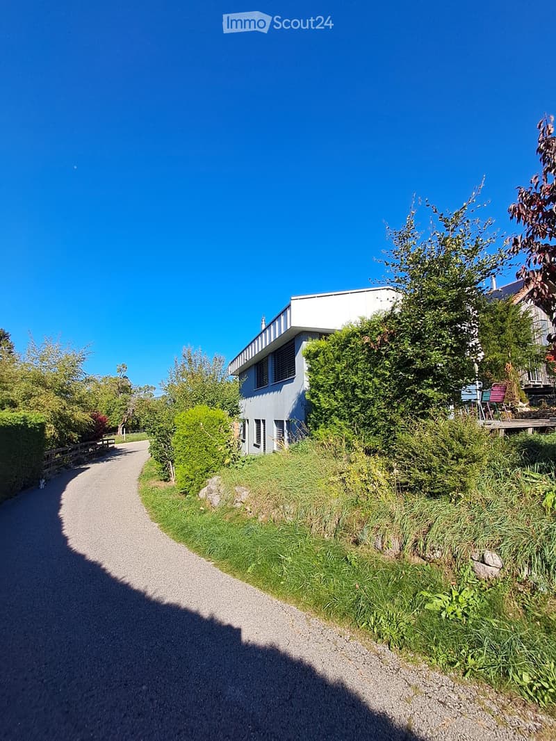 A modern two-story house with white exterior and dark windows, surrounded by lush greenery and a gravel pathway.