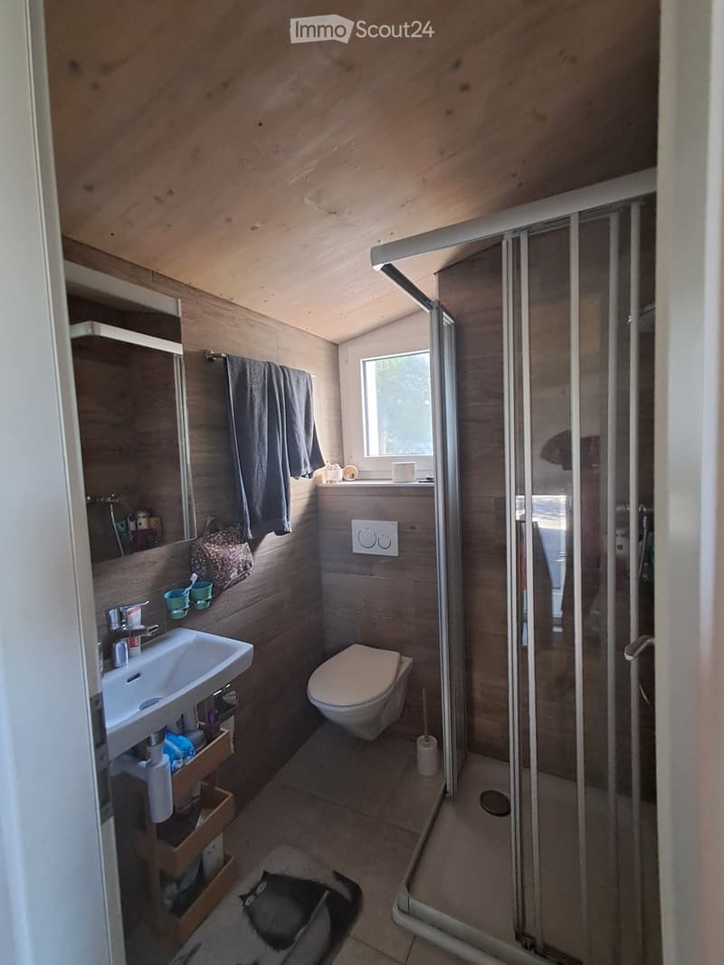Cozy bathroom with wooden walls and ceiling, featuring a sink, toilet, mirror, and a glass-enclosed shower area.