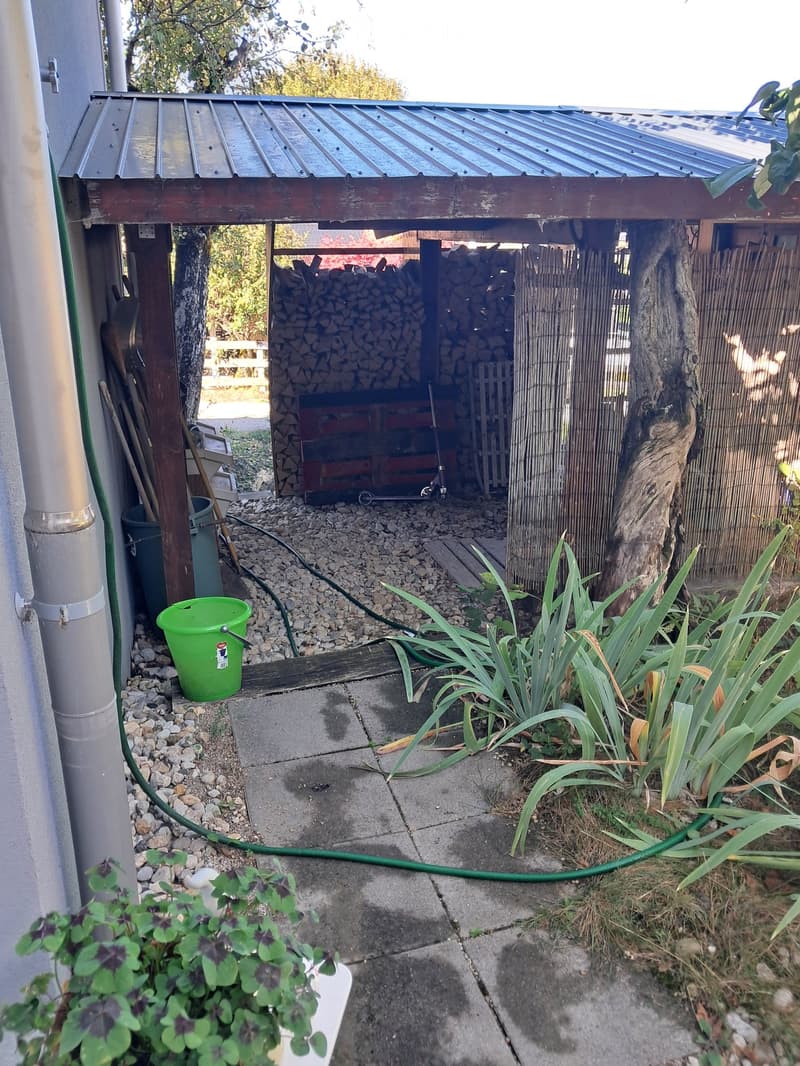 Outdoor area with a concrete patio, a small shed with a metal roof, a stack of firewood, a green bucket, and some plants.