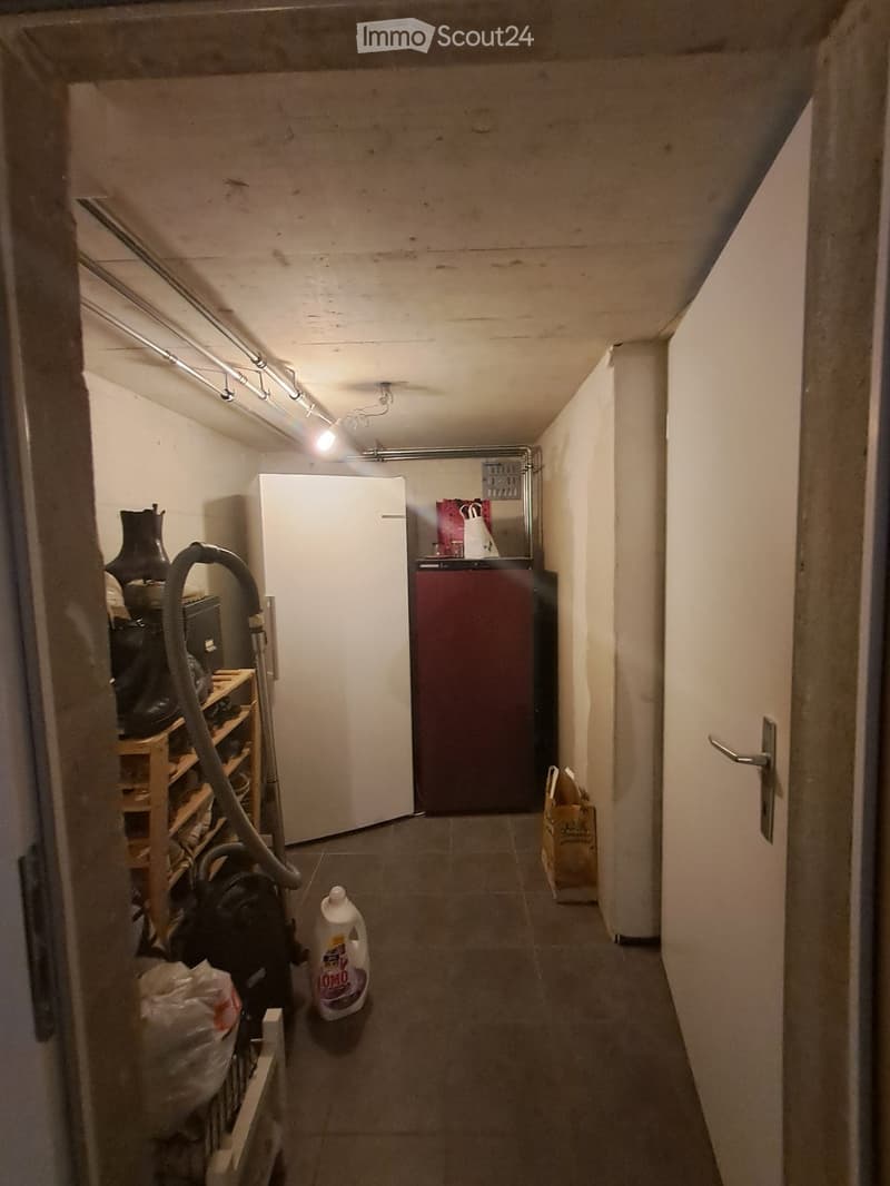 A narrow hallway with a refrigerator, vacuum cleaner, and shelf on the left side, and a door on the right side.