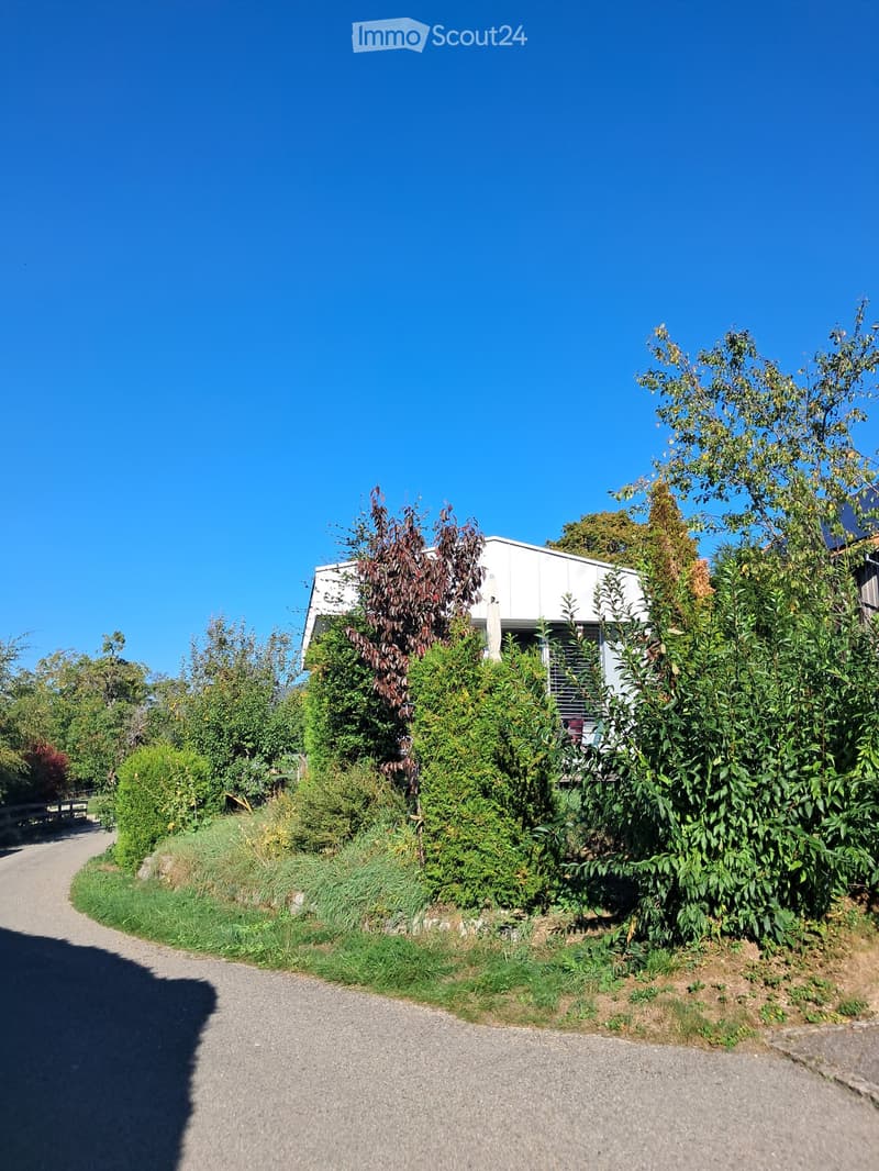 A modern white house partially obscured by lush greenery and trees, with a clear blue sky in the background and a gravel pathway leading to the house.