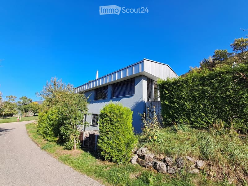 Modern two-story house with a flat metal roof, light blue exterior, and multiple windows, surrounded by greenery and a gravel driveway.