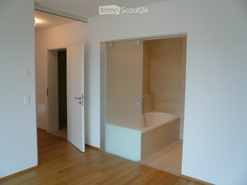 Modern bathroom with a bathtub enclosed by a glass shower enclosure, wooden flooring, and white walls.